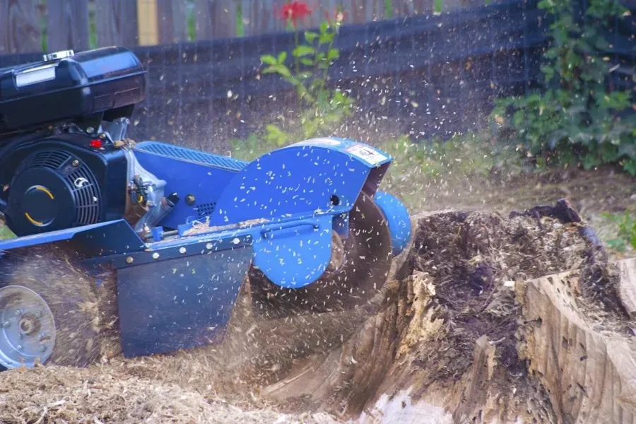 Stump Grinding